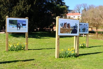 Nouvelle Exposition Photo,  Printemps des Sports Équestres, espaces verts de la gare de Fontainebleau-Avon