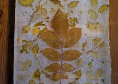 Stage de teinture végétale