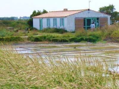 Écomusée du marais salant