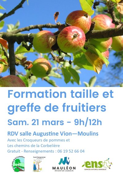 Sortie nature - Greffage en salle puis taille au verger