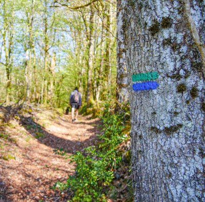 Randonnée accompagnée