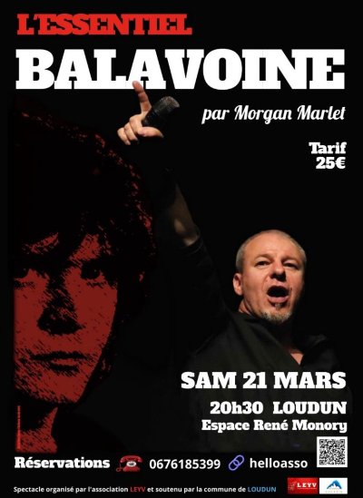 L'Essentiel Balavoine