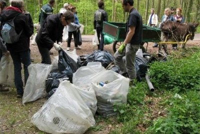 Opération "Forêt propre"
