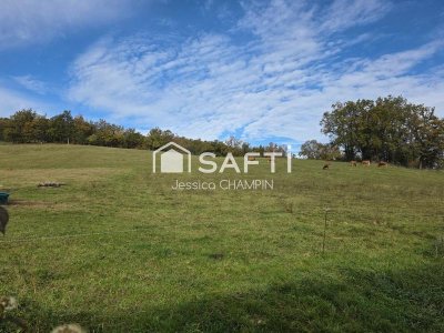 Retransmission du match des Six Nations