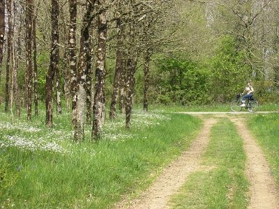 LA COURSE DU BRIGAND - course relais semi-nocturne