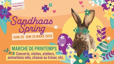 Oiseaux, premières mélodies du printemps