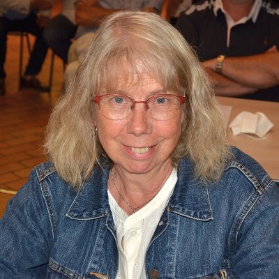 Concert du groupe AraWa