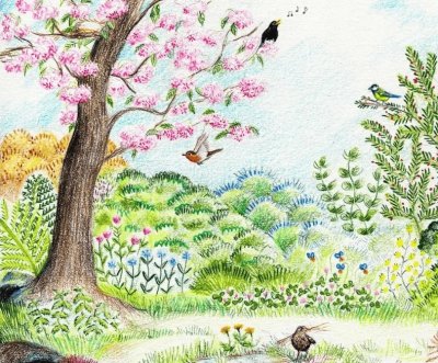 Reconnaissance des chants d’oiseaux