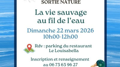 Sortie Nature : La vie sauvage au fil de l'eau