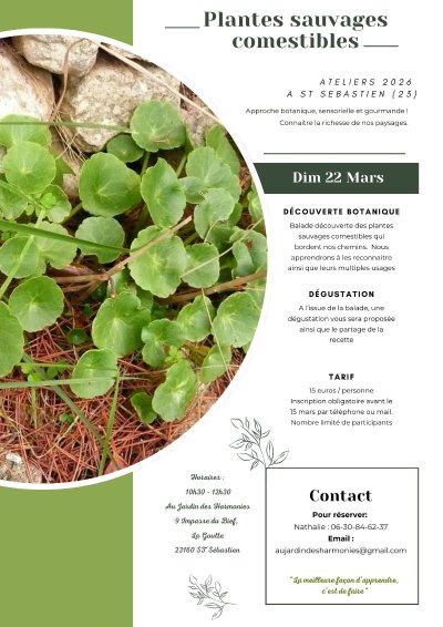 Atelier Plantes sauvages comestibles
