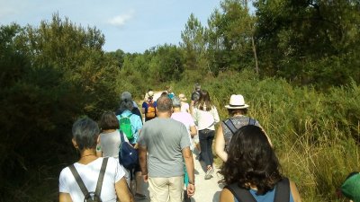 La forêt de Migelane