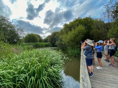 Découverte du Marais d'Orx