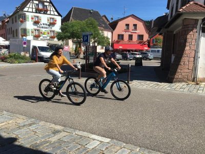 Circuit vélo route - Col de Steige - Col de la Charbonnière - Champ du Feu