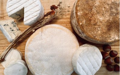 Visite de la laiterie de la Nive