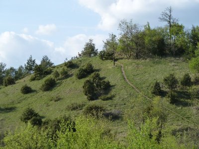 Balade en famille : le sentier-nature du Coteau du Chaumois