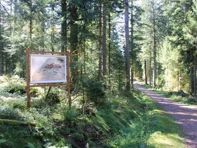 Sentier "À l’école buissonnière des Xettes"