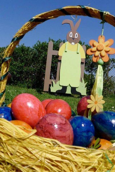 Flânerie des lièvres