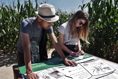 Parc de loisirs du Labyrinthe du Thimerais