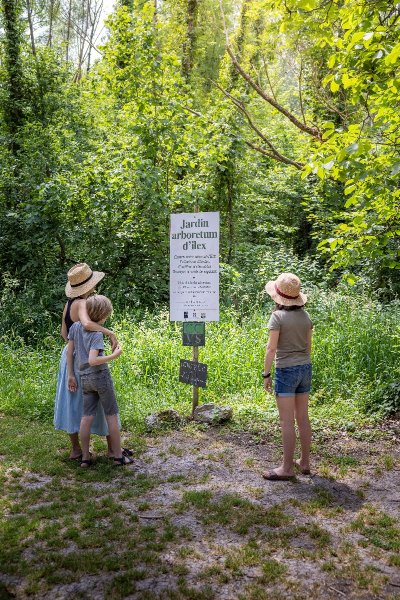 Jardin Arboretum d'Ilex