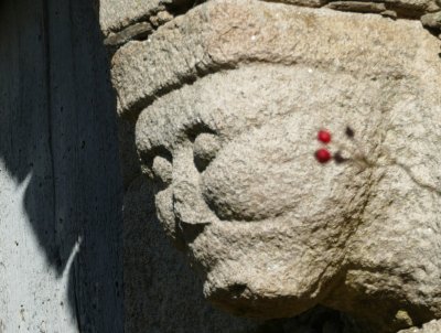 Harmonie avec la nature et l'habitat : découverte de la géobiologie