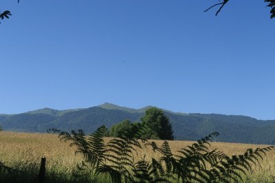 VTT N°75 - Bords du Gave