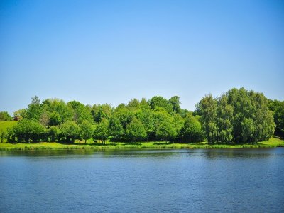 17ème Biennale de peinture et sculpture à Vire Normandie