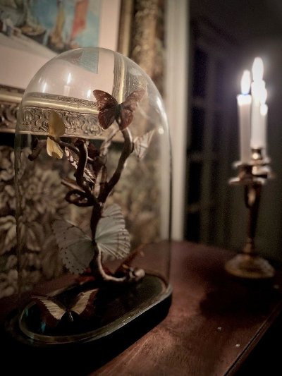 Echappée immersive : le château de Carneville pendant l'occupation