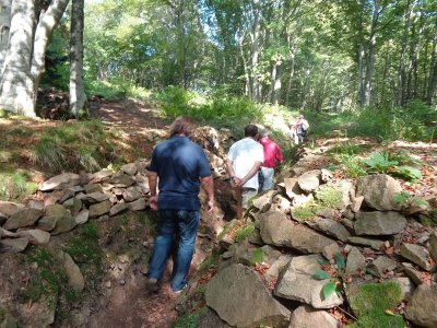 Exposition : la mangeuse d'hommes