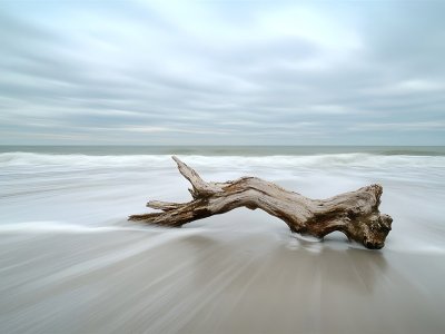 Exposition : Marie Bataille