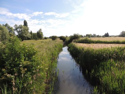 Sortie nature dans l'ENS du Marais de Contres : La vie du sol