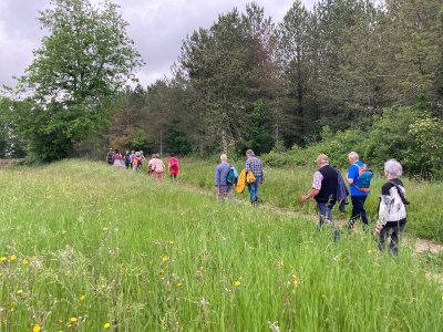 Randonnée en immersion dans les milieux humides