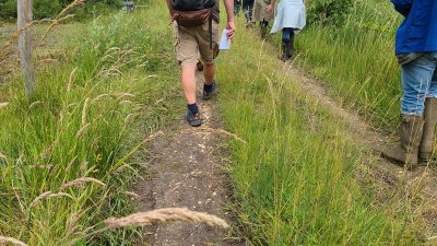 Randonnée de printemps