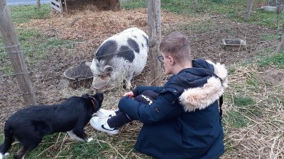 Les Sabots de laine accueillent le printemps