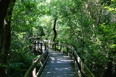 Les Pistes de Robin : les trésors de Cazaux