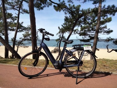 Stations Bee's La Hume