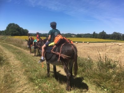 Animation "multi-activités" autour des ânes.