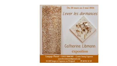 Exposition Catherine Libmann - Plasticienne de la fibre