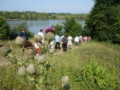 De Bazas au Lac de la Prade