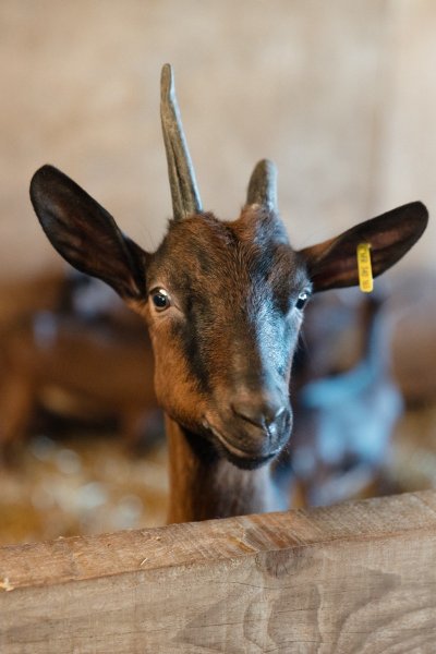 Pâques en famille à La Ferme de Clossy