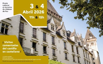 Visita del castillo en castellano