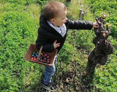 Pâques en vignes au château Haut-Claverie