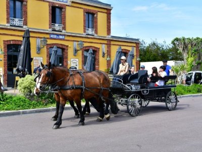 Balade attelée à Carteret