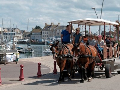Balade attelée sur le port de Saint-Vaast-la-Hougue
