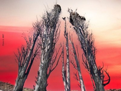 INCENDIES DE L'AUDE EN 2025 TRAGÉDIE ET ESPOIR