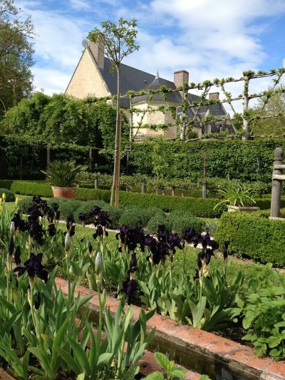 Découvrez les Iris au Domaine de Poulaines