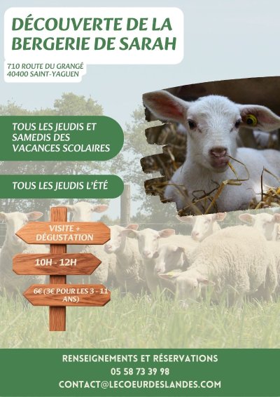 Découverte de la bergerie de Sarah : Visite & Dégustation