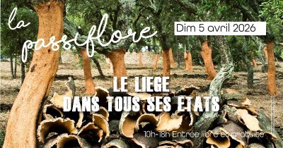 Foire aux plantes "La Passiflore" : le liège dans tous ses états