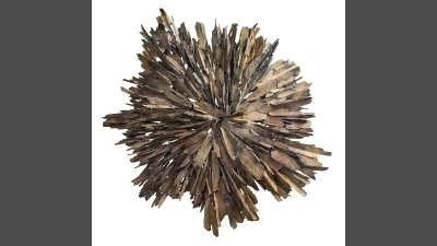 Exposition Guillaume Couffignal