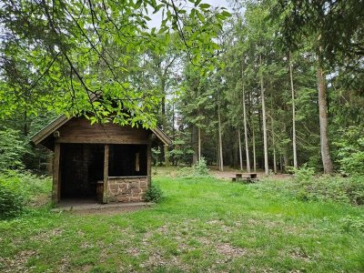 Sentier botanique du Seelberg