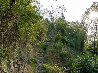 Circuit du Narrenstein